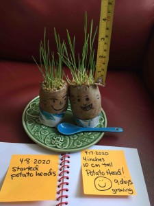PotatoHeads RulerIMG_4620